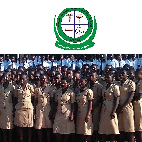 Community Health Nurses Training School, Bole
