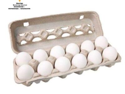 Ellson Eggs