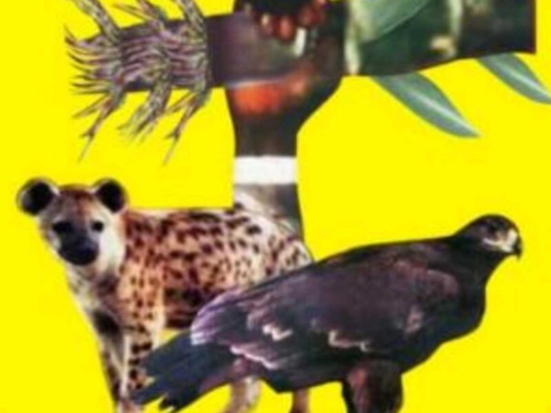 Nii Sekor Adamafio Annan