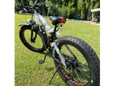 Electric Bicycle