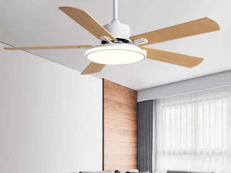 Royal  Light with Fan