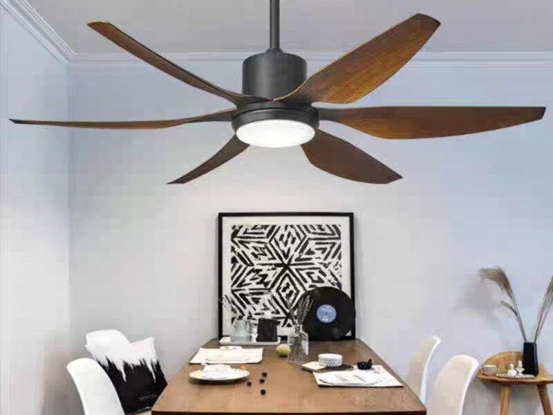 Royal  Light with Fan