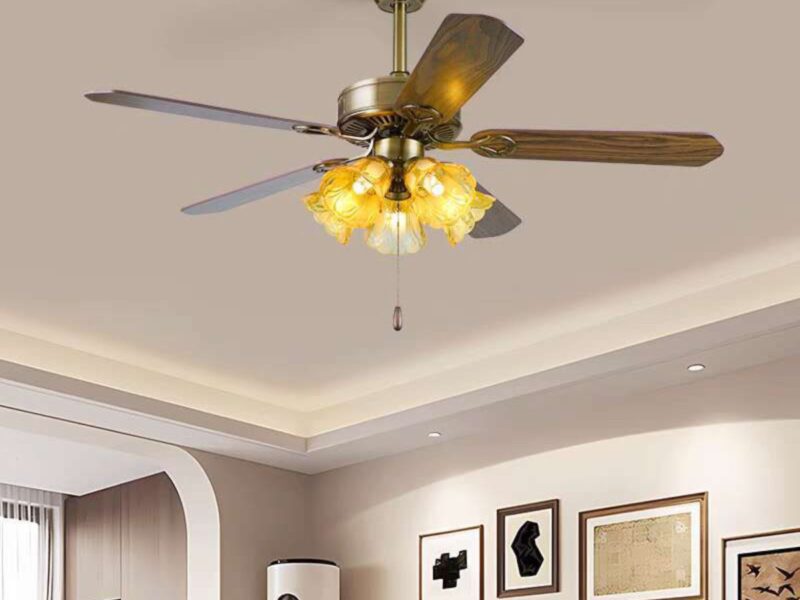 Royal  Light with Fan