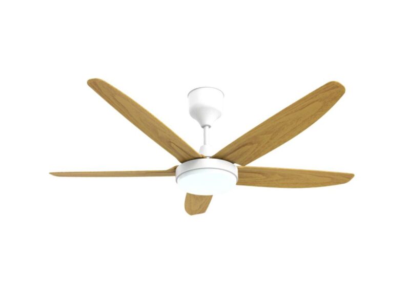 Smart Light with Fan